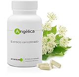 ANGELICA ARCHANGELICA * La Hierba de Los Angeles * 60 cápsulas/ 425mg que corresponden a 1500mg de raíz seca * Extracto concentrado 4:1 de raíz de angélica * Digestión