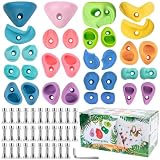 32 Piezas Presas de Escalada, presas Escalada niños, rocodromo Infantil Pared, Soportes De Colores Claros para Jugar Torre Y Pared Escalada, Cumpleaños para Niños