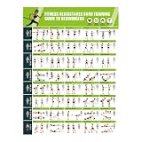Póster Gimnasio | Guía De Entrenamiento De Ejercicios Ilustrada | Rutinas Completas Para Entrenamiento En Casa para Bandas De Resistencia Pesas Libres Mancuernas Kettlebell Calistenia Estiramiento