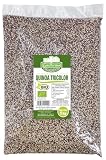 Guillermo | Quinoa tricolor BIO - Bolsa 1 kg. | 100% ecológica | Superalimento | Fuente de fibra, proteína y omega-6