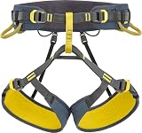 Climbing Technology Wall