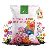 LERAVA Set de semillas flores (12 variedades) - semillas con germinación rápida - siembra fácil para jardín, terraza y interior - mezcla floral para plantas coloridas - made in Italy